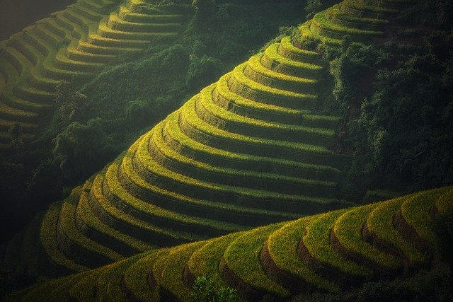 agriculture-1822443_640