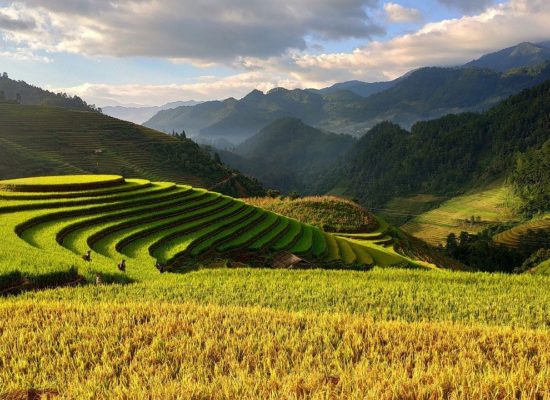 agriculture-3732476_1280