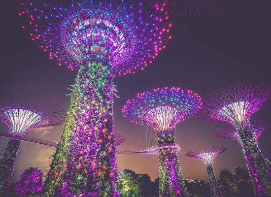 artificial-trees-945387_960_720